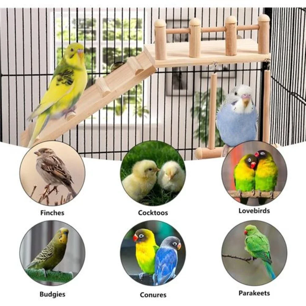 Bird Perches Platform Swing with Climbing Ladder, Parakeet Cage Accessories